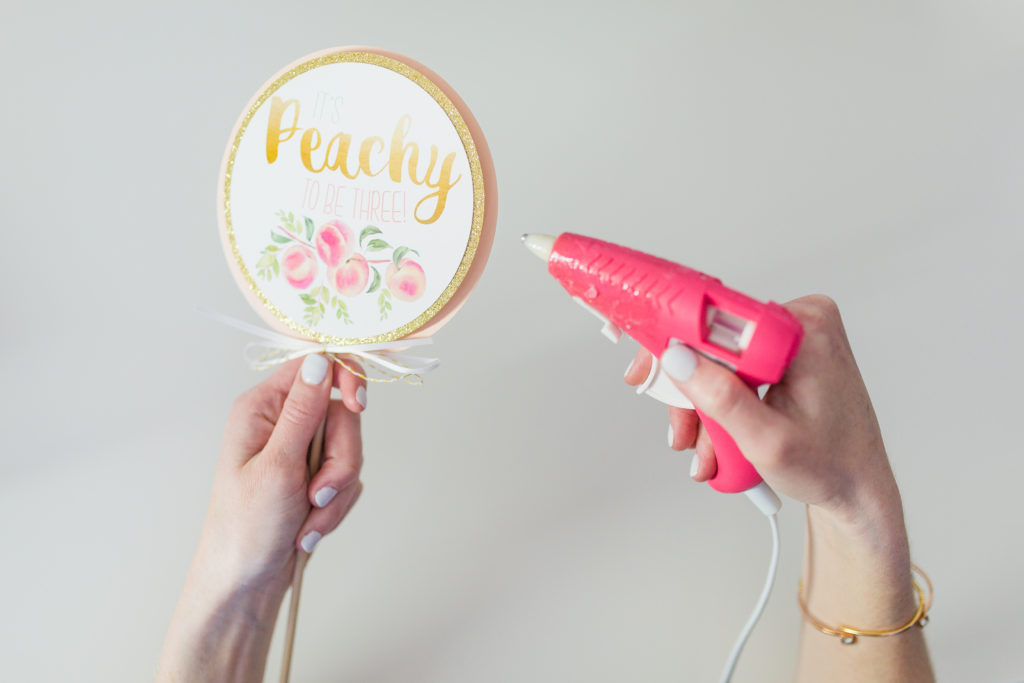 Peach Party Centerpiece Stick