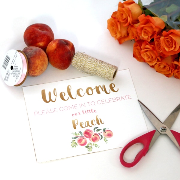 Peach Party Welcome Sign Printable