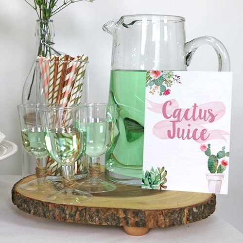 Cactus Juice Party Sign