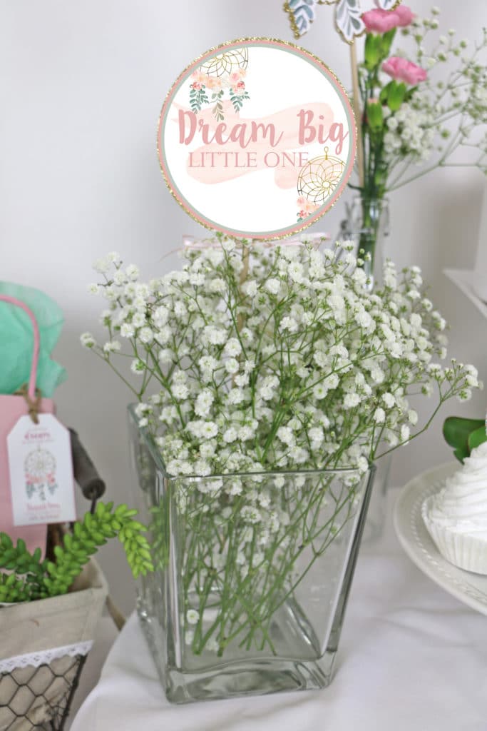 Dream Big Little One Baby Shower Decorations