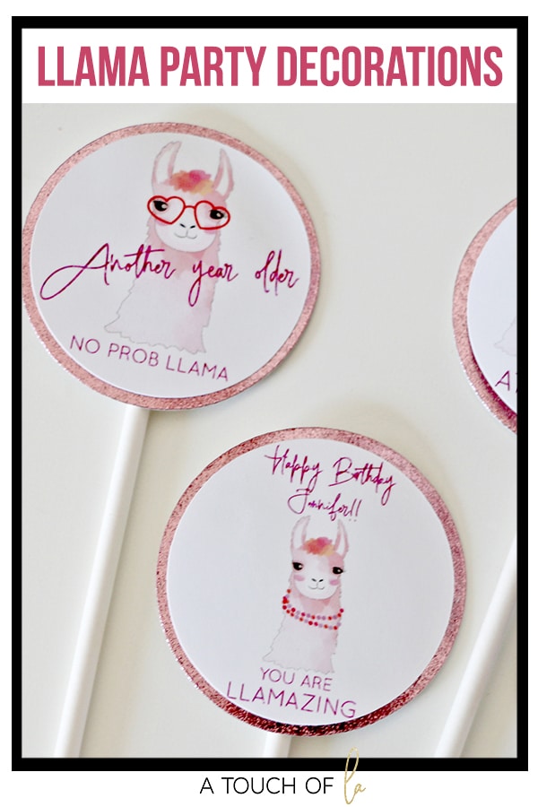 Llama Party Decorations