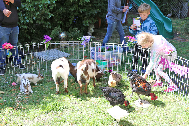 Paw Patrol Party Petting Zoo