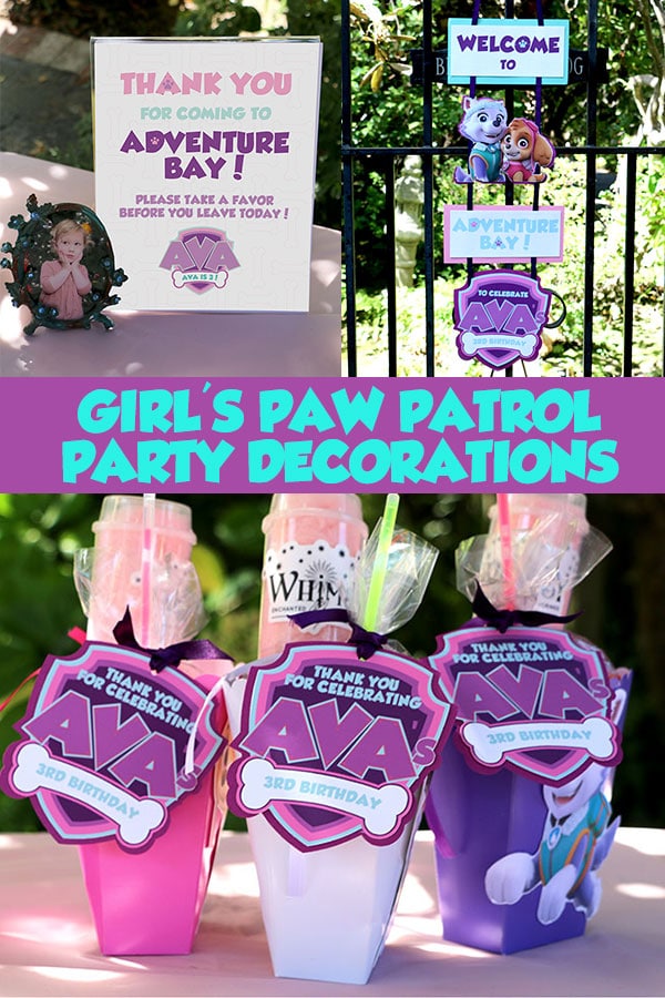 Girl's Puppy Patrol Decorations