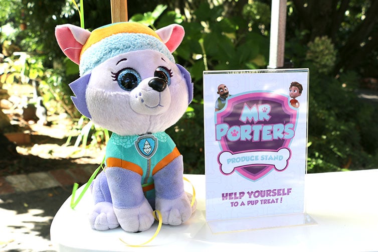 Girl's Puppy Patrol Decorations