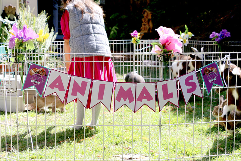 Girl's Puppy Patrol Decorations