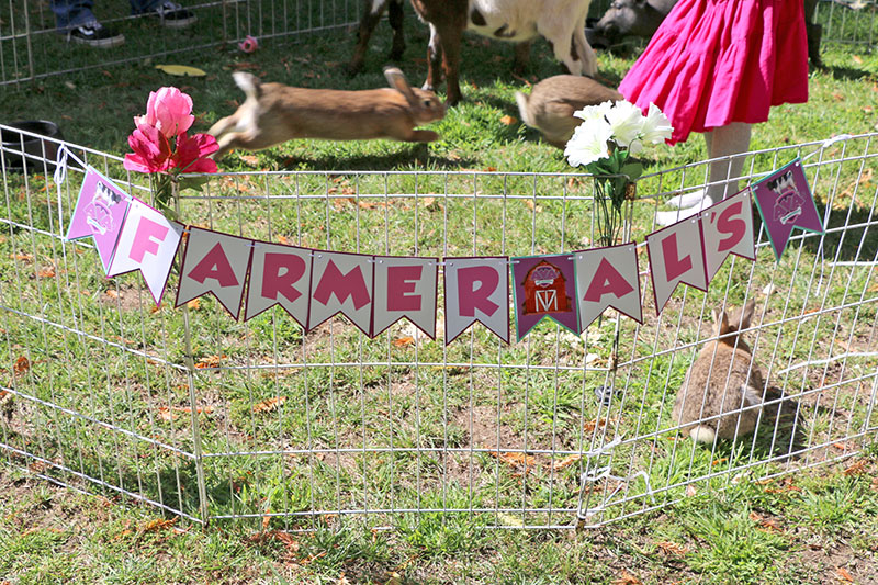 Girl's Puppy Patrol Decorations