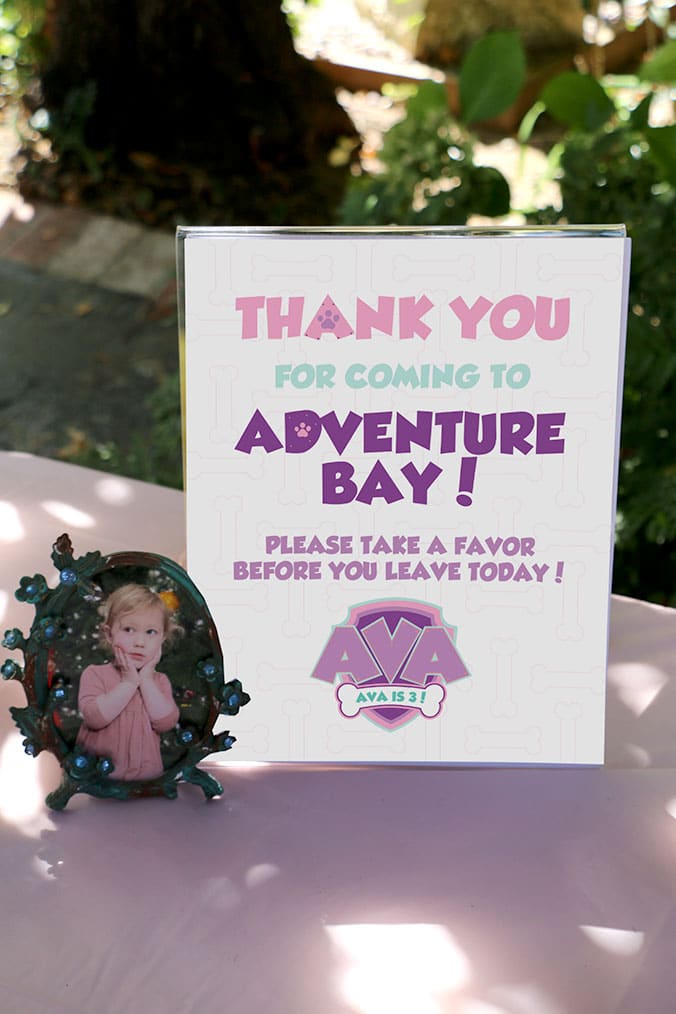 Girl's Puppy Patrol Decorations
