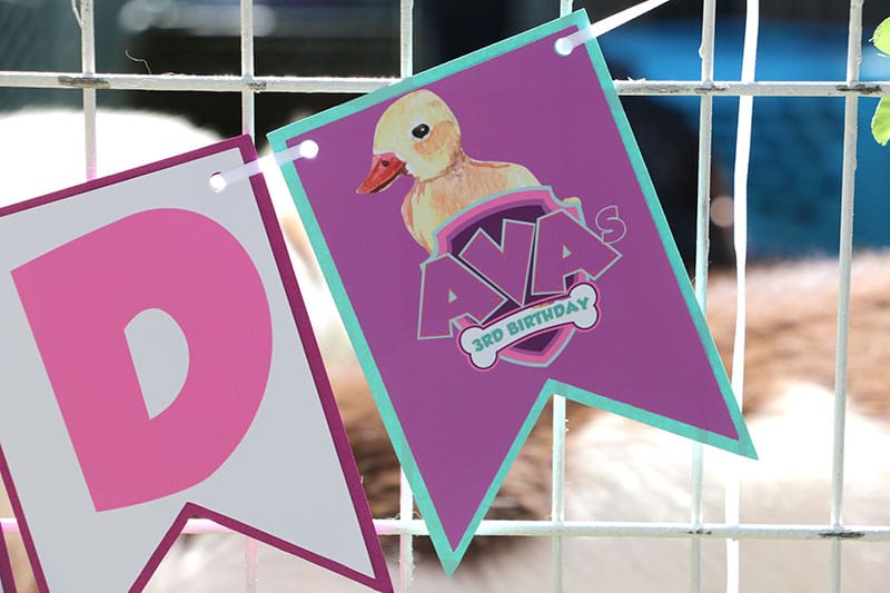 Girl's Puppy Patrol Decorations
