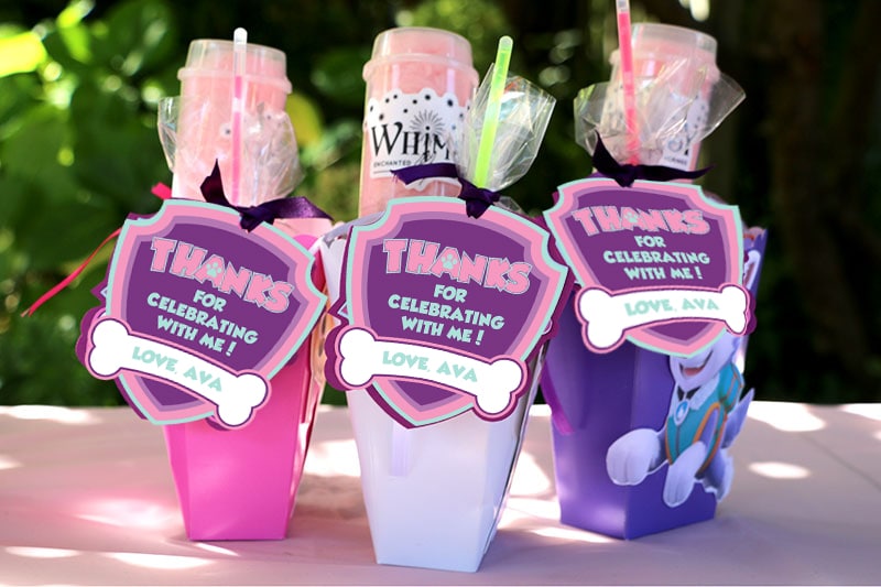 Girl's Puppy Patrol Decorations