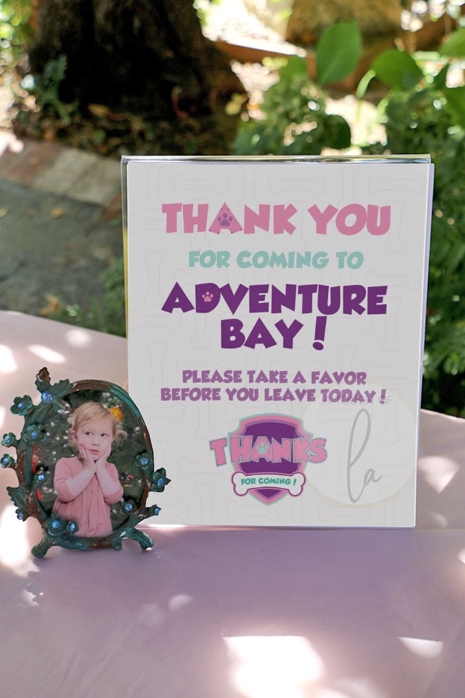 Girl's Puppy Patrol Decorations