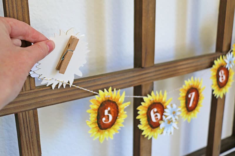12 Month Banner for Sunflower Party