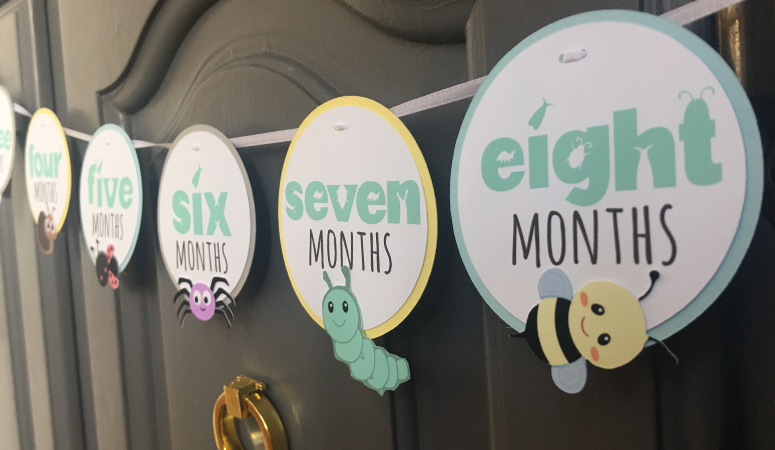 How to Make a Cricut 1st Birthday Picture Banner