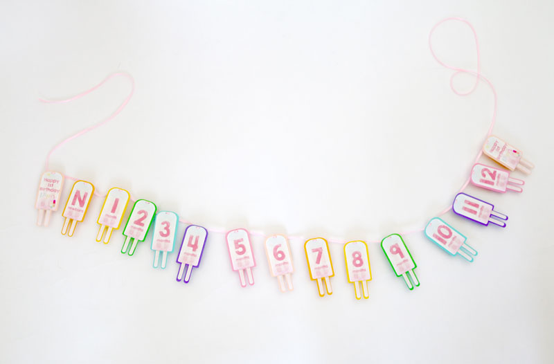 Popsicle Party 12 Month Photo Banner
