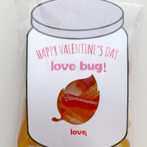 Girl's Love Bug Valentines (PNG)